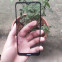 thay mặt kính nokia c10 chính hãng 1